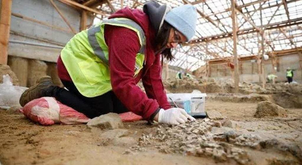 Beşiktaş Kazılarında Yeni Keşif: 5 bin 500 Yıllık Yaprak Bulundu