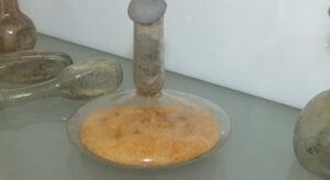 17 Yüzyıllık Cam Fanustan Zeytinyağı Çıktı