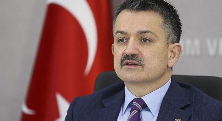 Pakdemirli, Türkiye’nin Döviz Dışında Meselesi Yok