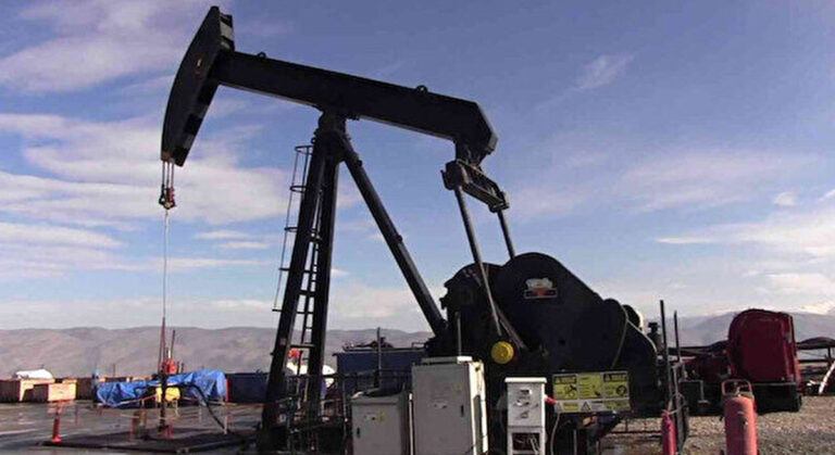 O İlde Petrol Aranacak