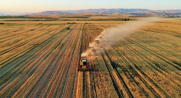 Türkiye Tarımda Devrim Yapacak!