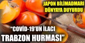 Bilimadamları İspatladılar Trabzon Hurması Koronavirüsü Yeniyor