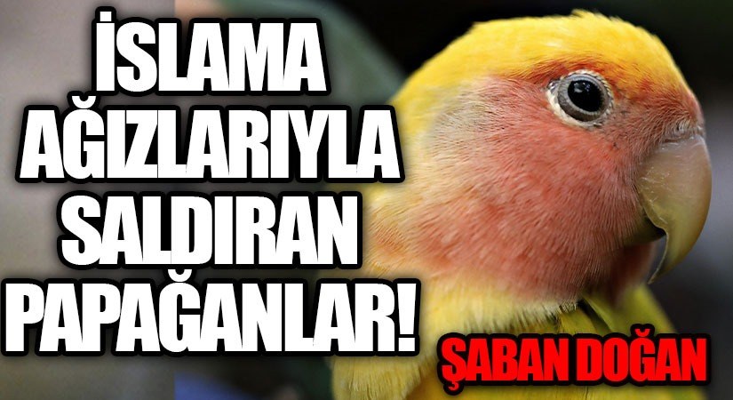 İSLAM’A AĞIZLARIYLA SALDIRAN PAPAĞANLAR