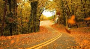 Bid’at Nedir? Bid’at’ın iyisi kötüsü olur mu?