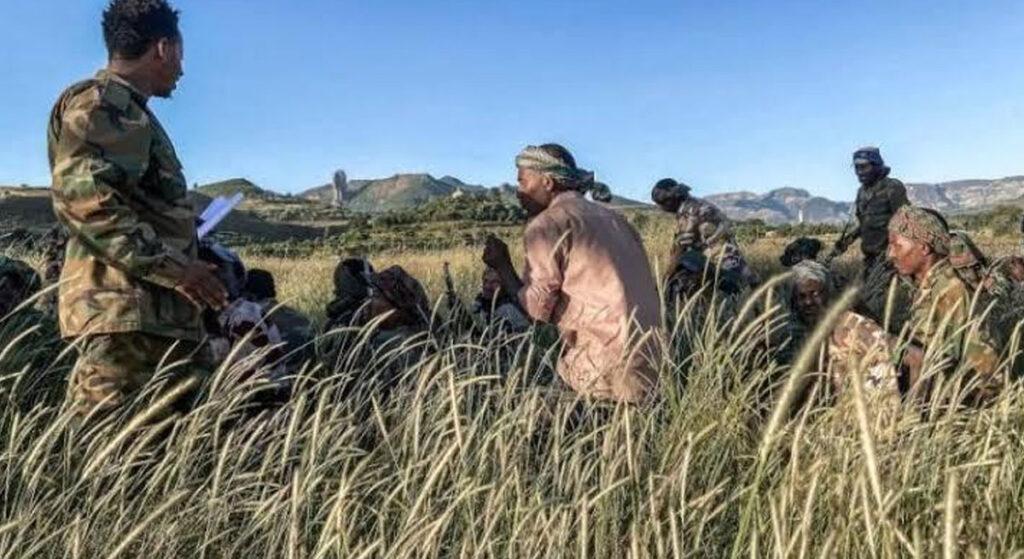 Etiyopya:Tigraylar Amhara Bölgesinde Yüzü Aşkın Sivili Katletti