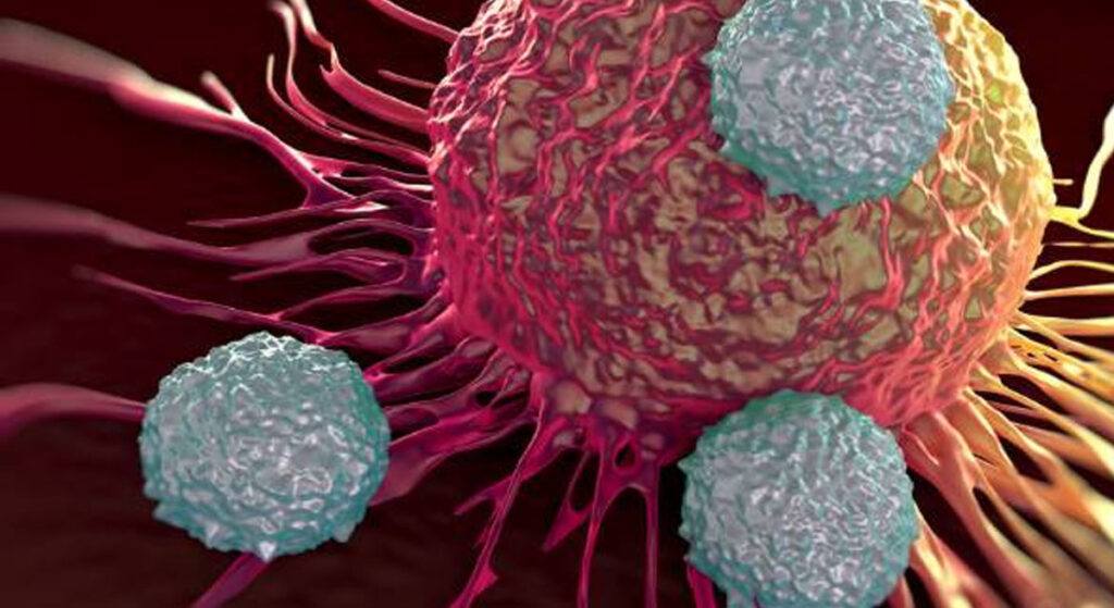 ORTADOĞUDAKİ ARAP ÜLKELERİNDE MEVCUT KANSER ORANLARI DÜNYANIN EN DÜŞÜK ORANLARI MI?  İŞTE GERÇEKLER!