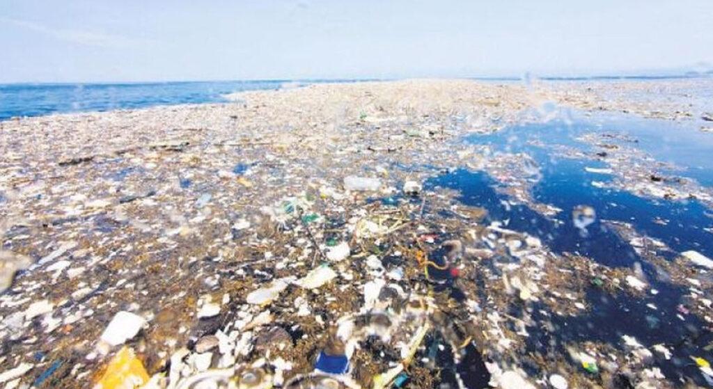 Ekolojik Tehlike Eşiğini Aştı: Denizdeki Plastiği Yutmayan Kalmadı!