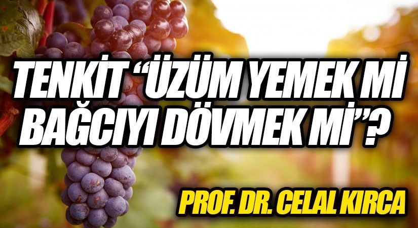 TENKİT “ÜZÜM YEMEK Mİ BAĞCIYI DÖVMEK Mİ”?