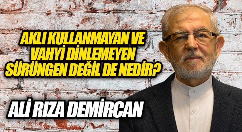AKLI KULLANMAYAN VE VAHYİ DİNLEMEYEN SÜRÜNGEN DEĞİL DE NEDİR?  