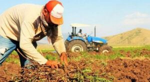 Çiftçiler İçin Müjdeli Haber!