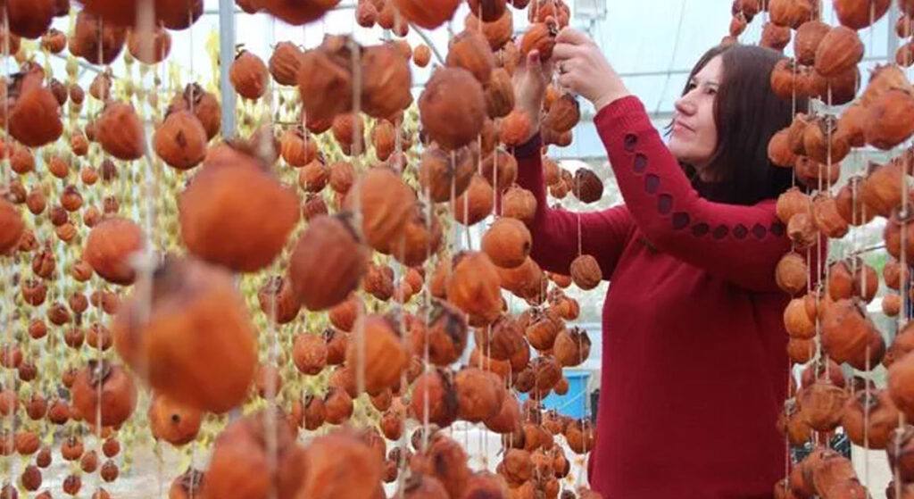 Çöpe Atılıyordu! Gelir Kapısı Oldu