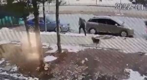 Sivas’ta, sokak köpeğinden kaçarken otomobilin çarptığı çocuk yaralandı