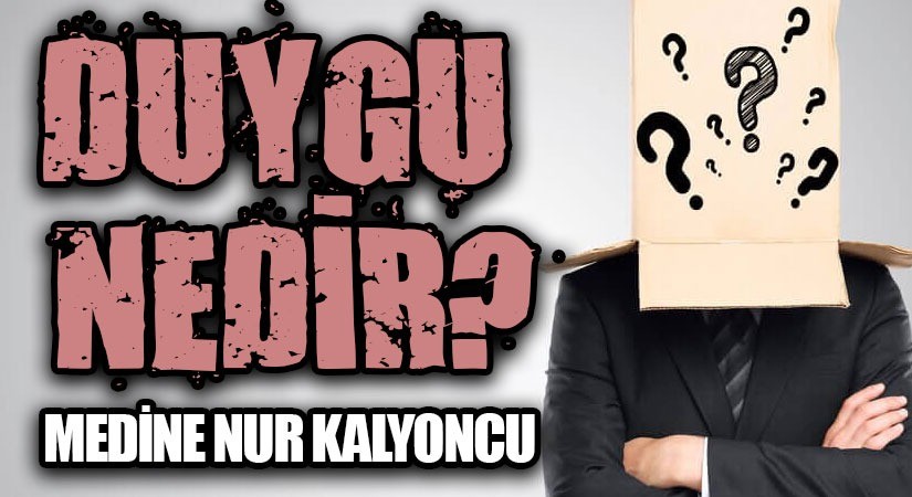 Duygu Nedir?