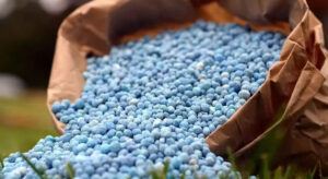 Rusya Gübre İhracatını Askıya Aldı!