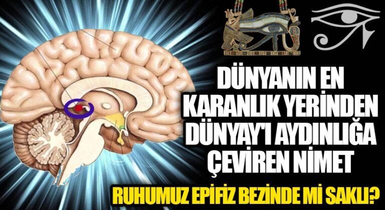 RUHUMUZ EPİFİZ BEZİNDE Mİ SAKLI ?