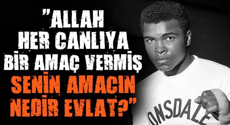 ALLAH HER CANLIYA BİR AMAÇ VERMİŞ…SENİN AMACIN NEDİR ?
