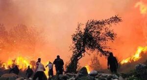 Hatay’da Korkutan Yangın!