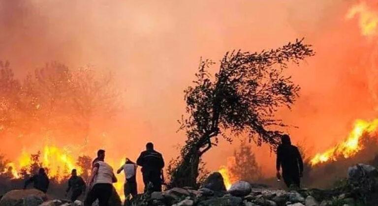 Hatay’da Korkutan Yangın!