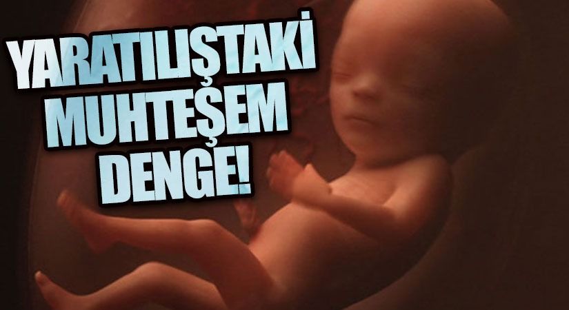 Yaratılıştaki muhteşem denge !