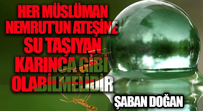 HER MÜSLÜMAN NEMRUT’UN ATEŞİNE SU TAŞIYAN KARINCA GİBİ OLABİLMELİDİR