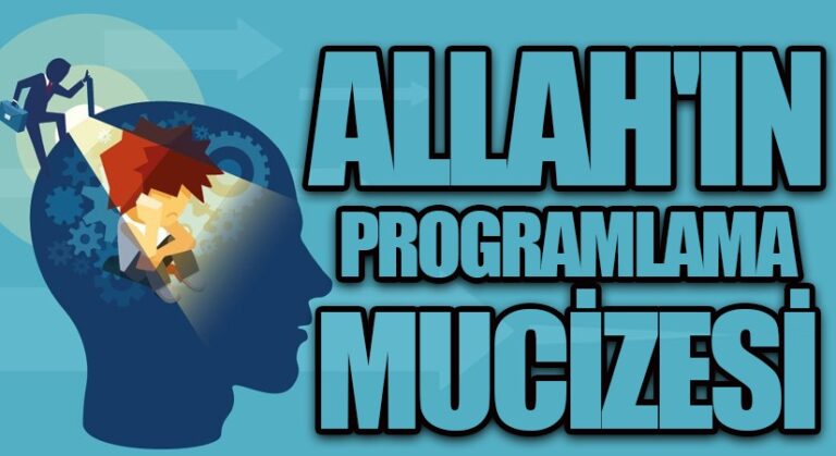 ALLAH’IN PROGRAMLAMA MUCİZESİ