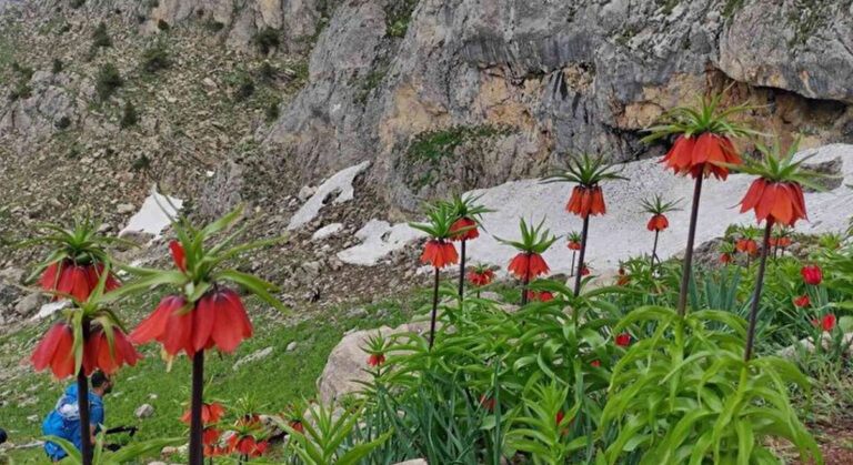 Herkes Ulaşmak İçin Kilometrelerce Yol Yürüyor