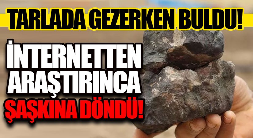 Tarlada Gezerken Buldu!