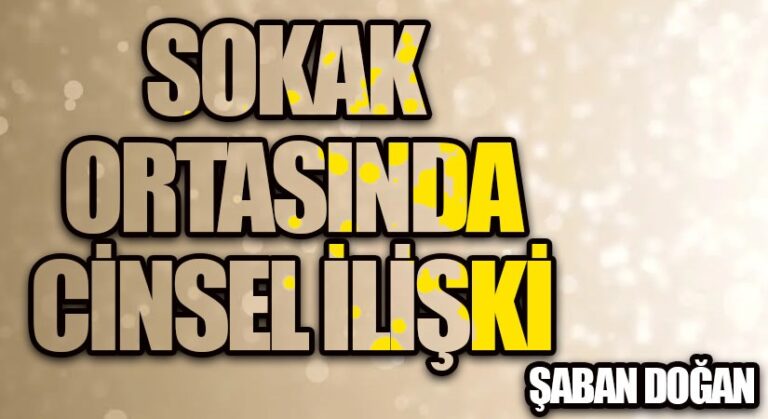 SOKAK ORTASINDA CİNSEL İLİŞKİ