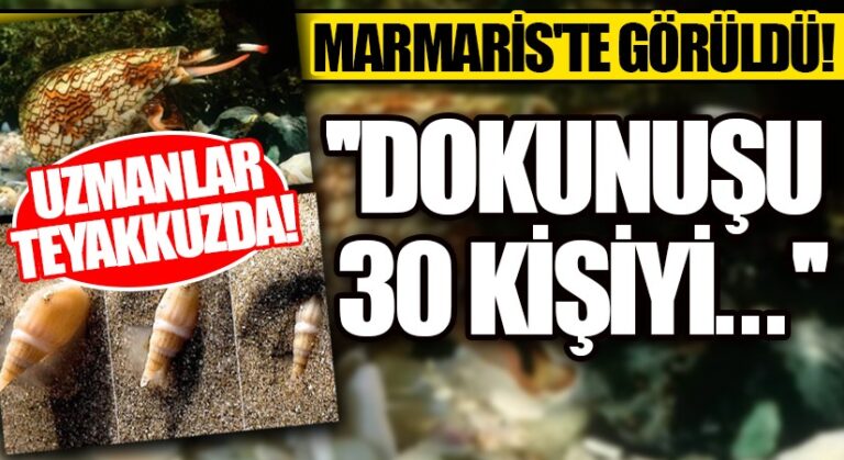 Marmaris’te Görüldü..