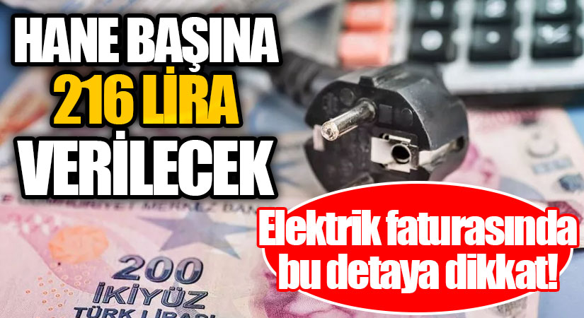 Hane Başına 216 Lira Verilecek! Elektrik Faturasında Bu Detaya Dikkat!