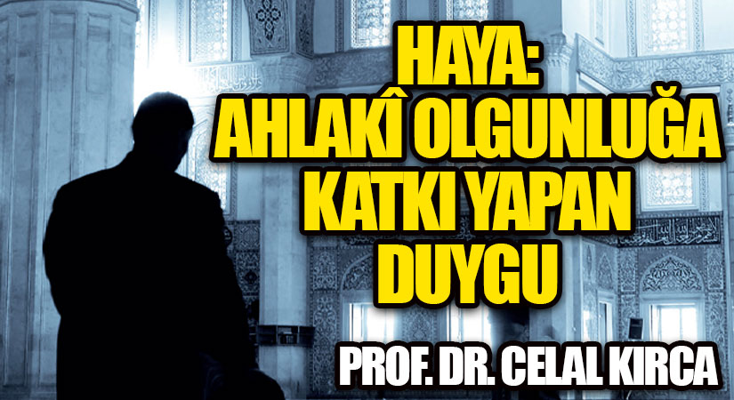 HAYA:  AHLAKÎ OLGUNLUĞA KATKI YAPAN DUYGU