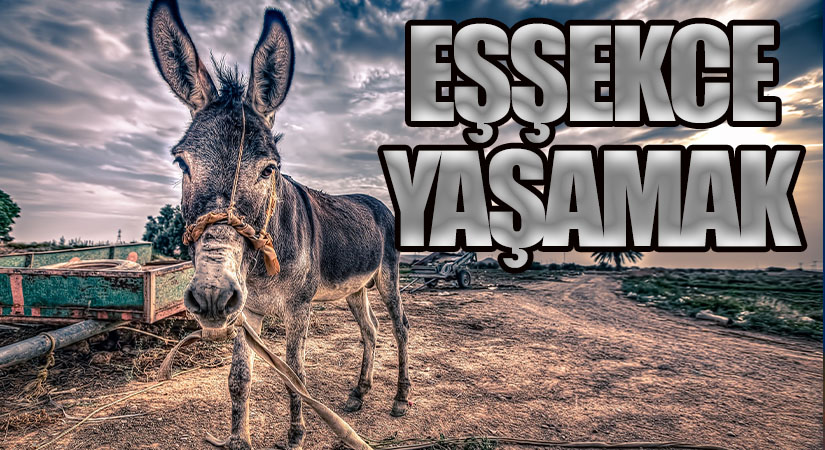 EŞŞEKCE YAŞAMAK !