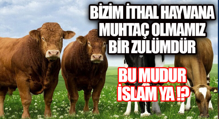 BİZİM İTHAL HAYVANA MUHTAC OLMAMIZ BİR ZULÜMDÜR !!!