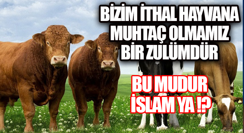BİZİM İTHAL HAYVANA MUHTAC OLMAMIZ BİR ZULÜMDÜR !!!