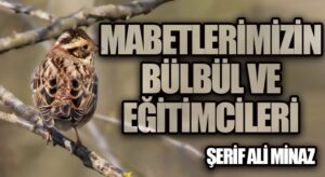 MABETLERİMİZİN BÜLBÜL VE EĞİTİMCİLERİ