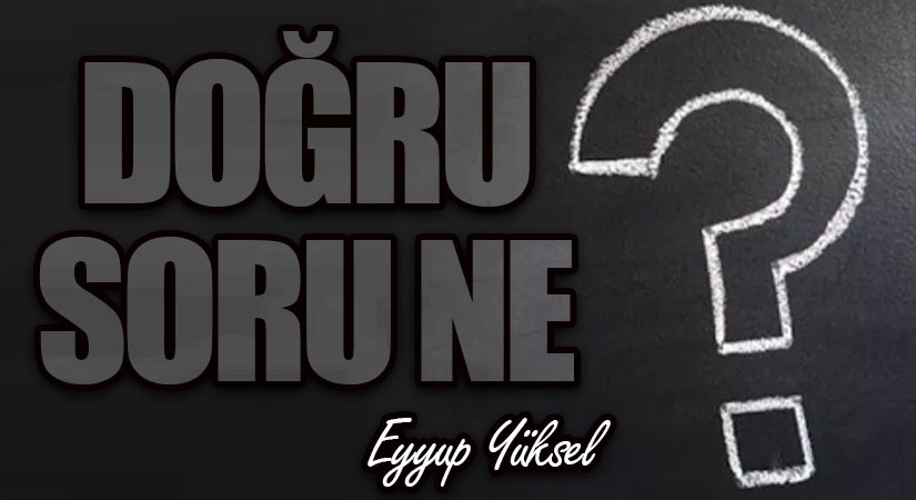 DOĞRU SORU NE?