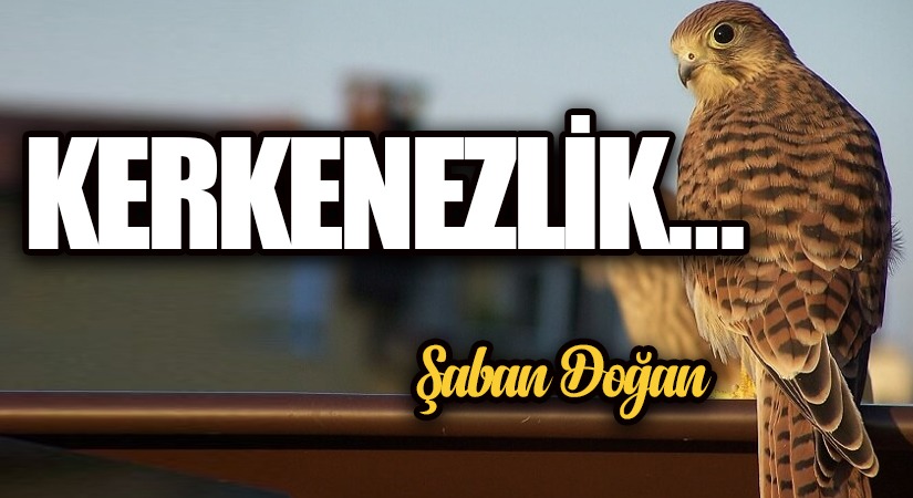 KERKENEZLİK…