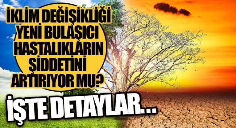 İklim Değişikliği Hastalıkların Şiddetini Artırıyor Mu?