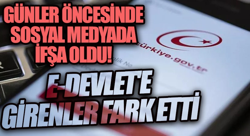 E- Devlete Girenler Fark Etti