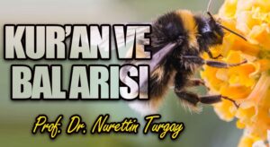 KUR’AN VE BAL ARISI 