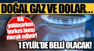 Doğalgaz ve Dolar…