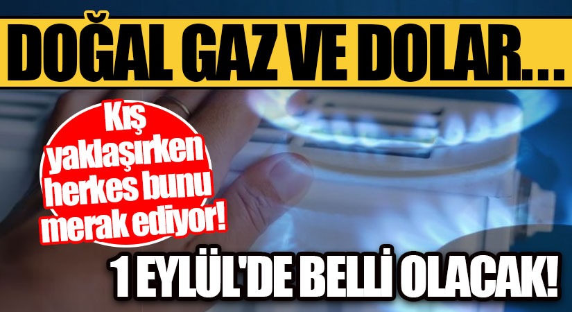 Doğalgaz ve Dolar…