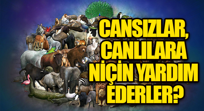 Cansızlar, canlılara niçin yardım ederler?