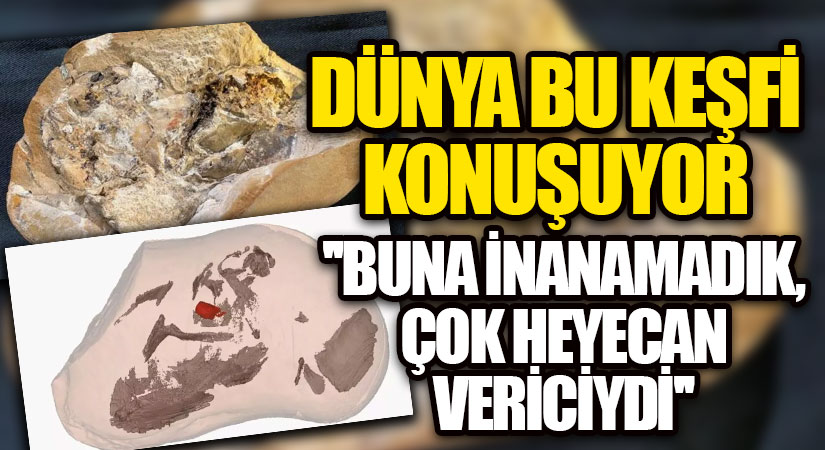 Herkesin konuştuğu keşif! Dünyanın en eski kalbi bulundu