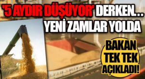 Yeni Zamlar Yolda | Gıda