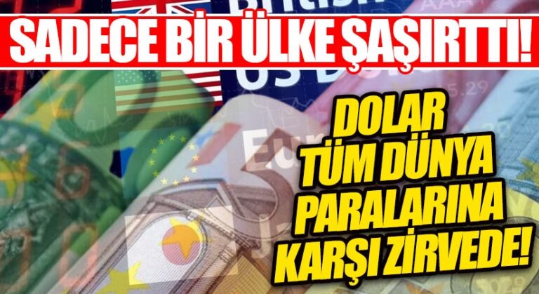 Dolar Tüm Dünya Paralarına Karşı Zirvede!