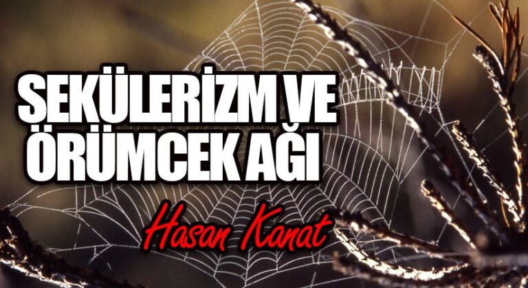 Sekülerizm ve Örümcek Ağı