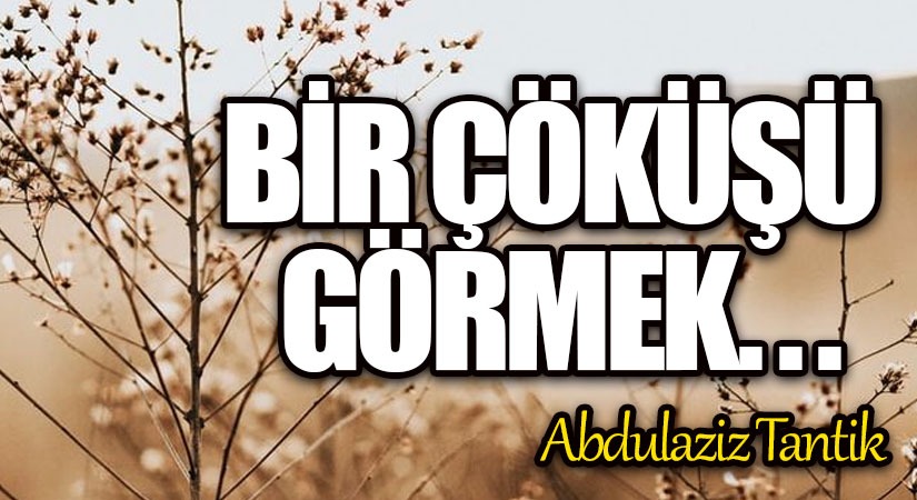 Bir Çöküşü Görmek…