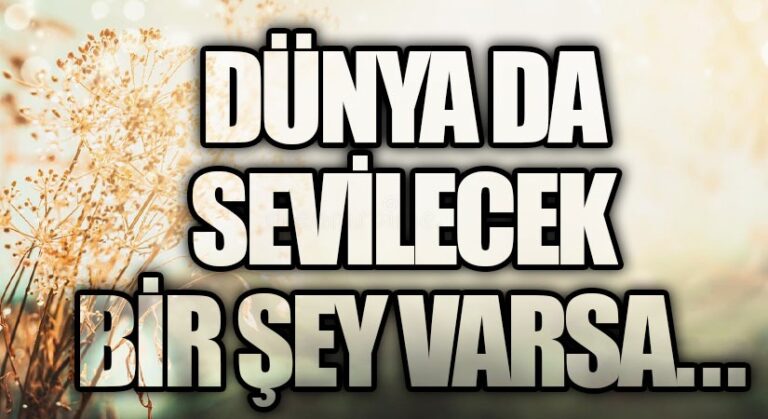 DÜNYA DA SEVİLECEK BİR ŞEY VARSA…