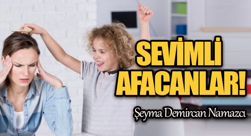 SEVİMLİ AFACANLAR!!